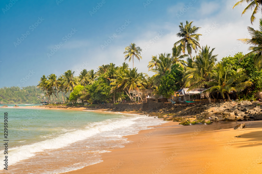 Paradise Mirissa beach in Sri Lanka. Yellow sand and palm trees with blue sky.