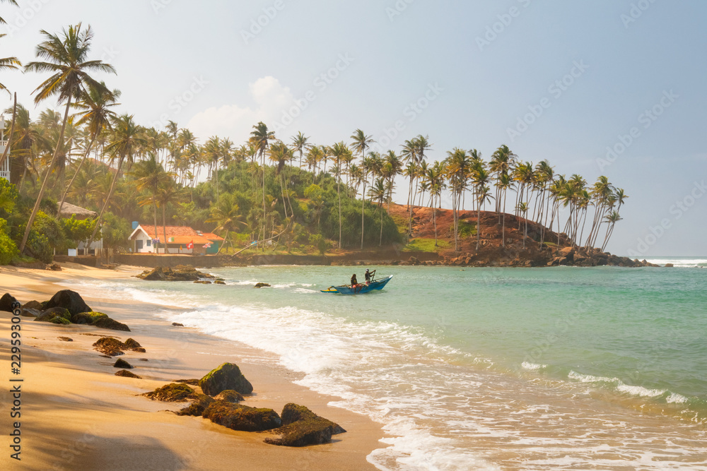 Coconut palm and sun lights through trees on beach with fishermen which is going to the water, Mirissa, Sri Lanka