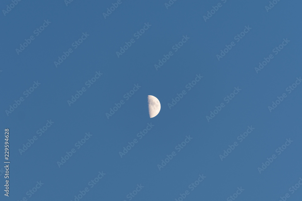 Blue Moon Blue Moon