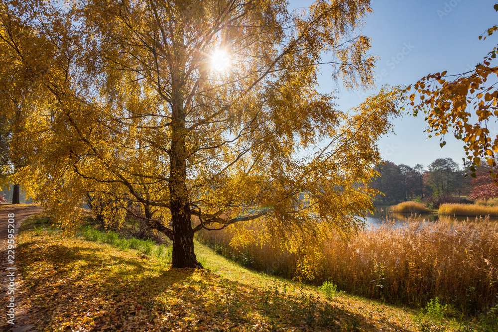 Herbst Sonne Herbst Sonne