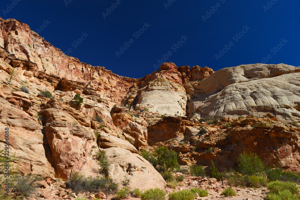 Beautiful views at Capitol reef national park