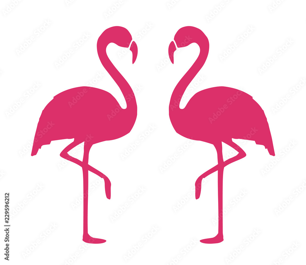 Obraz premium Flamingo Shape. Isolated. Vector.