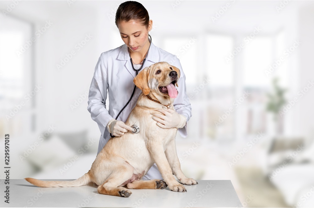 Attractive young female doctor with funny canine