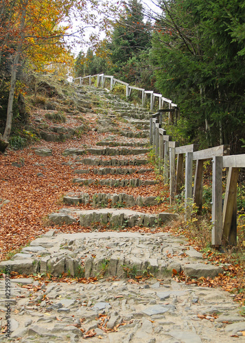 stairs on the path for tourists in the autumn nature with fallen leaves, Beskydy mountains, Czech Republic