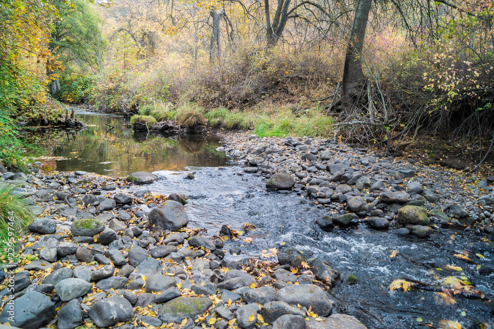 Emigrant Creek near Ashland, Oregon, USA Emigrant Creek near Ashland, Oregon, USA