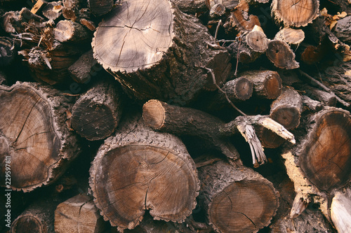 Wooden background. A background of folded cracked firewood. Folded firewood.