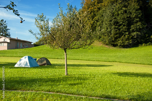 Namioty na zielonej łące pośród trawy i drzewa
