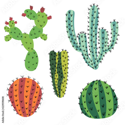 Set of doodle cactus isolated on white background. 