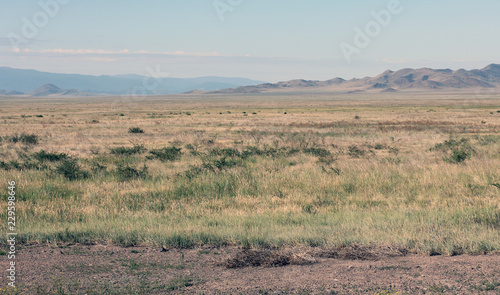 Steppe expanses