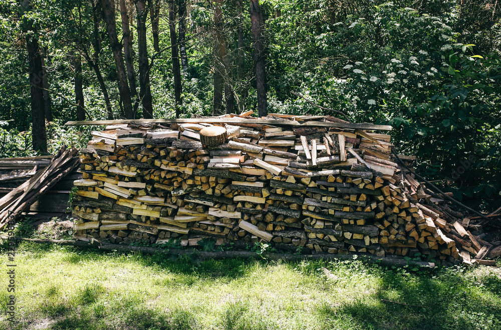 Natural firewood lying in a pile outdoors in the forest. Wood background texture. Eco friendly wallpaper.