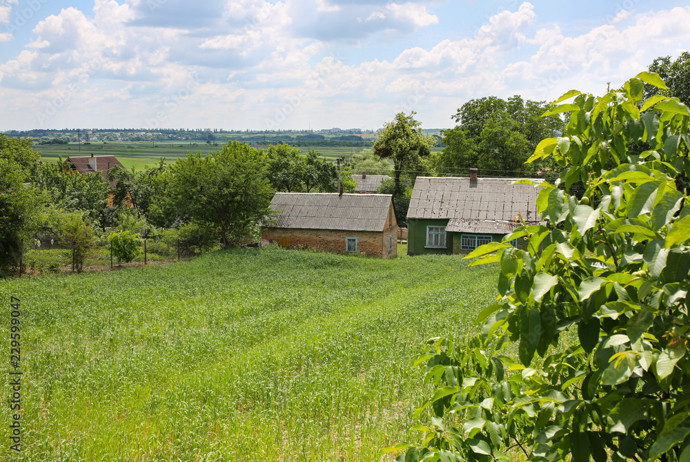 Beautiful houses in the village. Summer view in the countryside. Green trees, gardens and blue sky. Rustic lifestyle. Beautiful houses in the village. Summer view in the countryside. Green trees, gardens and blue sky. Rustic lifestyle.
