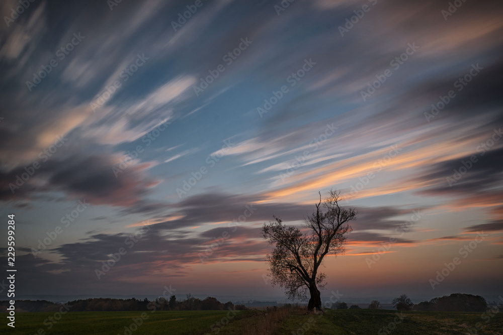 Sunset a landscape with lonely tree and field and beautiful cloudy sky, Czech Republic