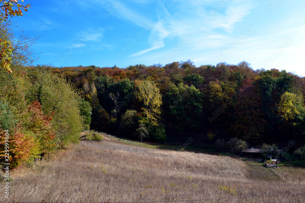 Herbstblick Herbstblick