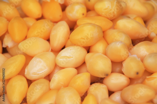 background of yellow beans.