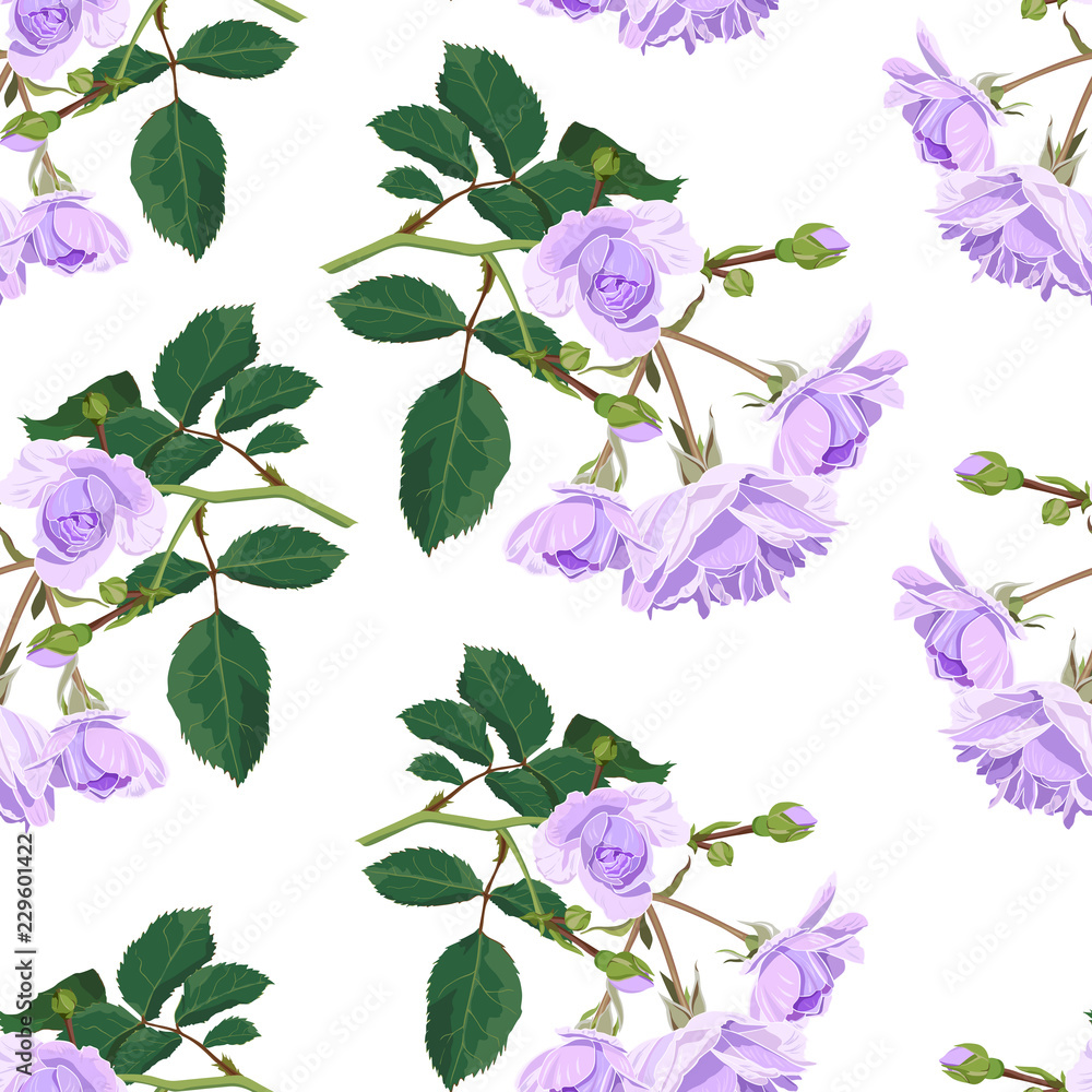 Seamless pattern with purple roses. Seamless pattern with purple roses.