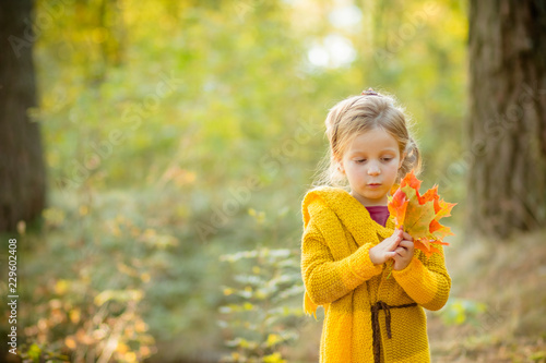 happy child playing with yellow maple leaves and dreams outdoors in autumn park under sun rays. Happiness  fall and childhood concept.Autumn portrait of a pretty little girl .Copy space