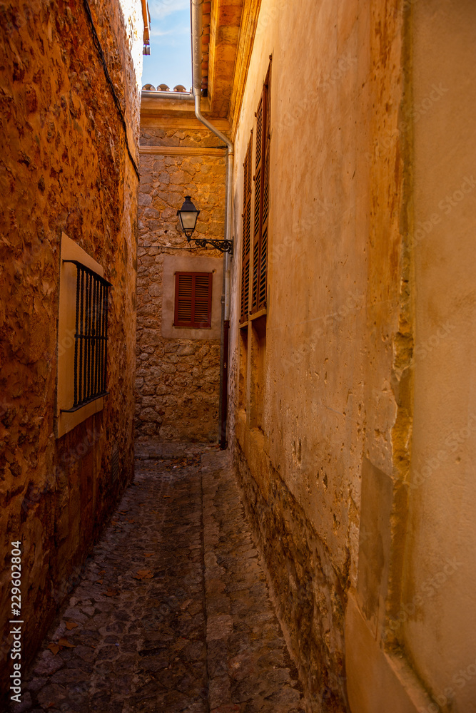 Fototapeta premium Valldemossa, Mallorca, Reisen, Stadt, Berge, Urlaub