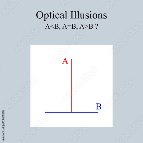 Optical illusion: two lines of equal length appear different when placed perpendicularly.
