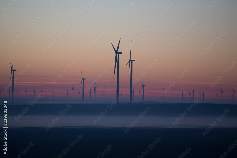 Obraz premium wind turbines at sunset