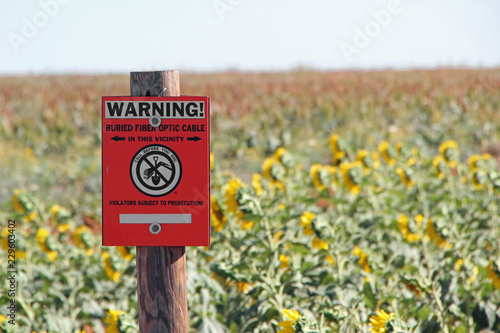 sign warning of buried fiber optic cables in a field of sunflowers