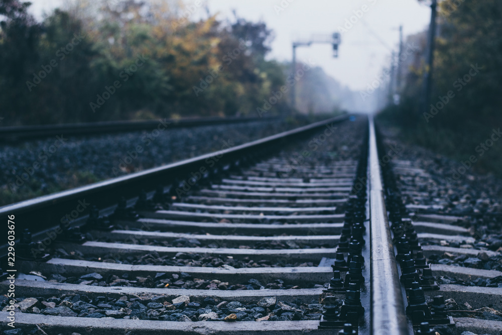 Fototapeta premium Railroad tracks stretching into the distance