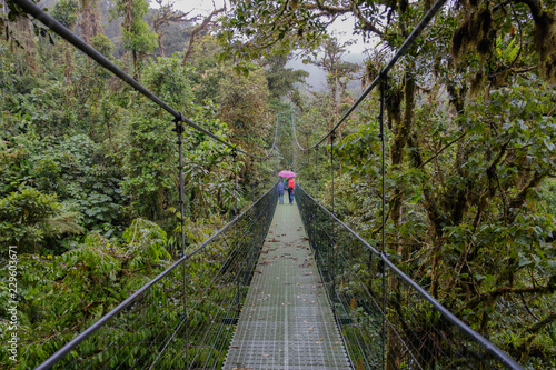 standing in the rain on a suspension bridge in Monteverde Costa Rica