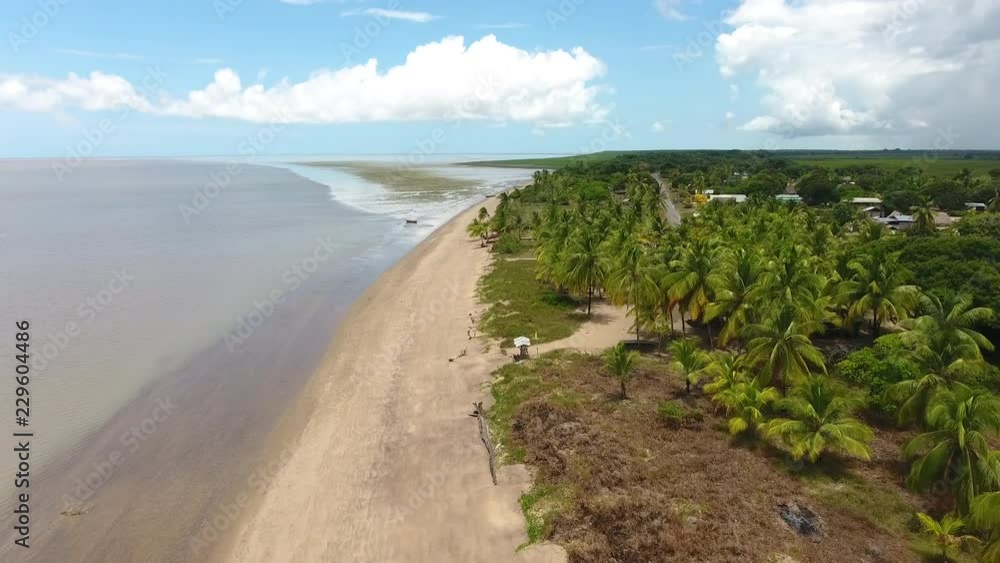 Aerial view of Awala Yalimapo beach in Guiana. Sandy with coconut trees. Aerial view of Awala Yalimapo beach in Guiana. Sandy with coconut trees.