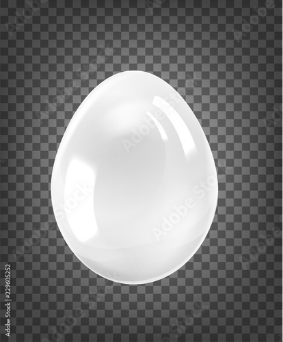 White egg with glossy shine isolated on black transparent background. Vector illustration.