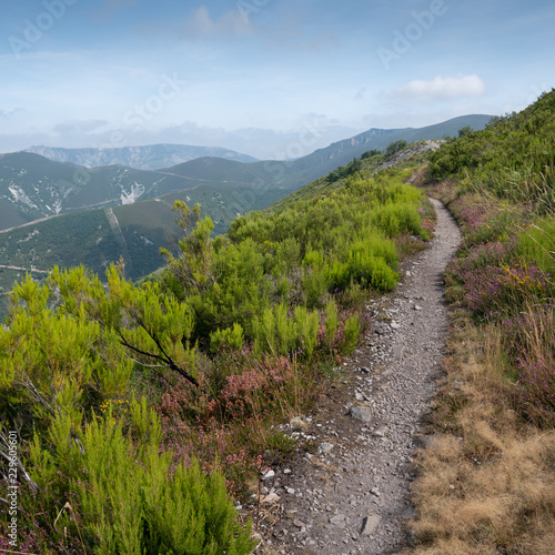 Fototapeta Naklejka Na Ścianę i Meble -  Camino de Santiago trail between Pola de Allande and Grandas de Salime, Asturias, Spain