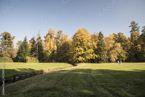 autumn landscape with colorful trees, grass, small creek and clear sky