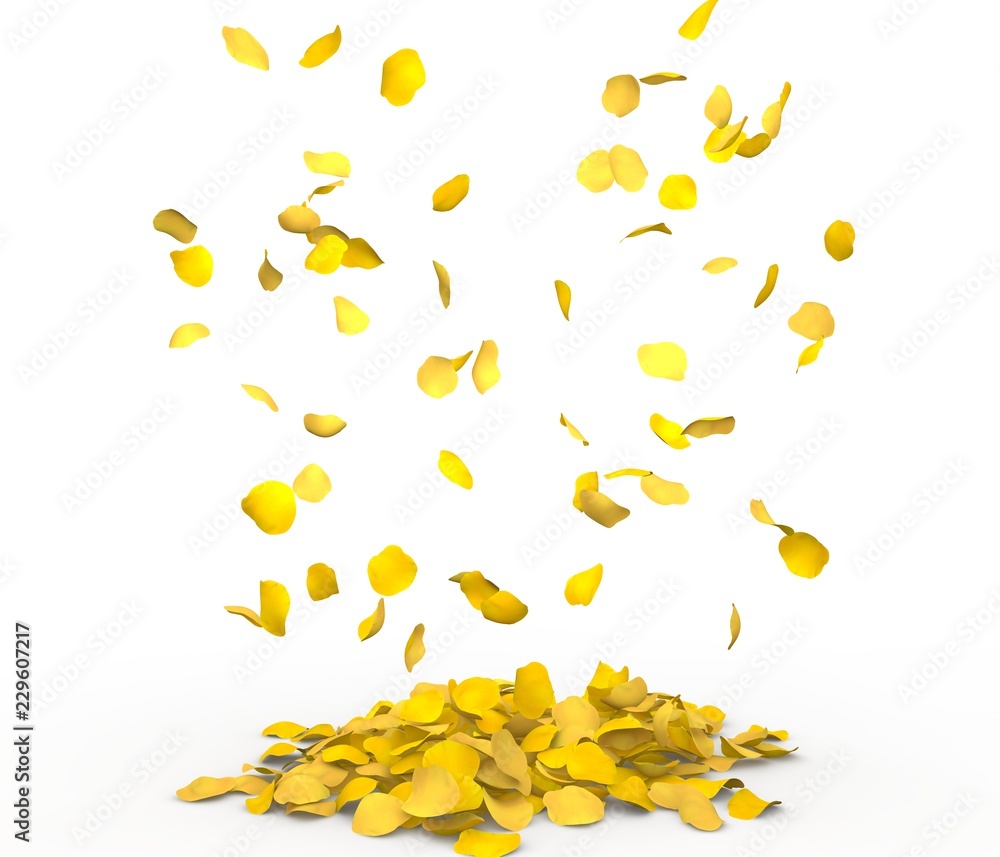 Rose petals fall to the floor Rose petals fall to the floor