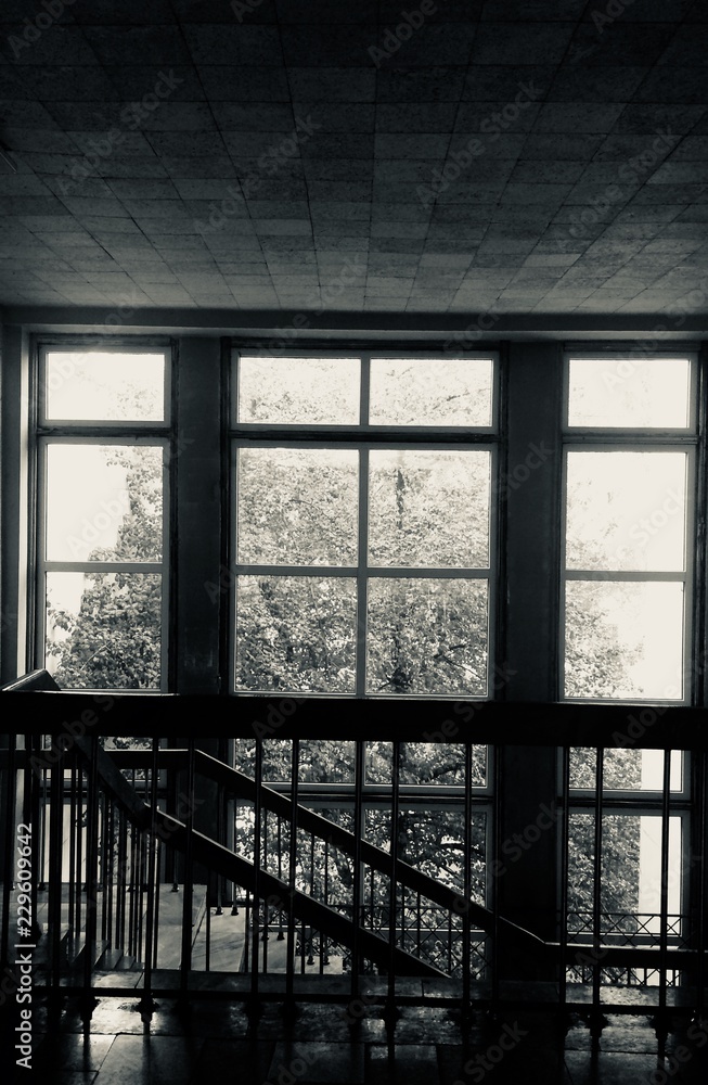 window window