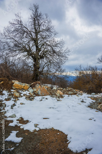 Beautiful winter landscape in mountains of Zagorohoria, Greece photo