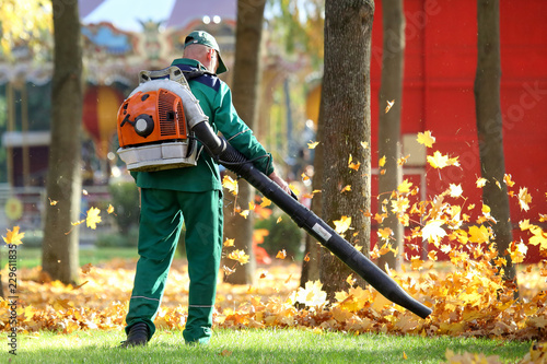 Working in the Park removes leaves with a blower photo