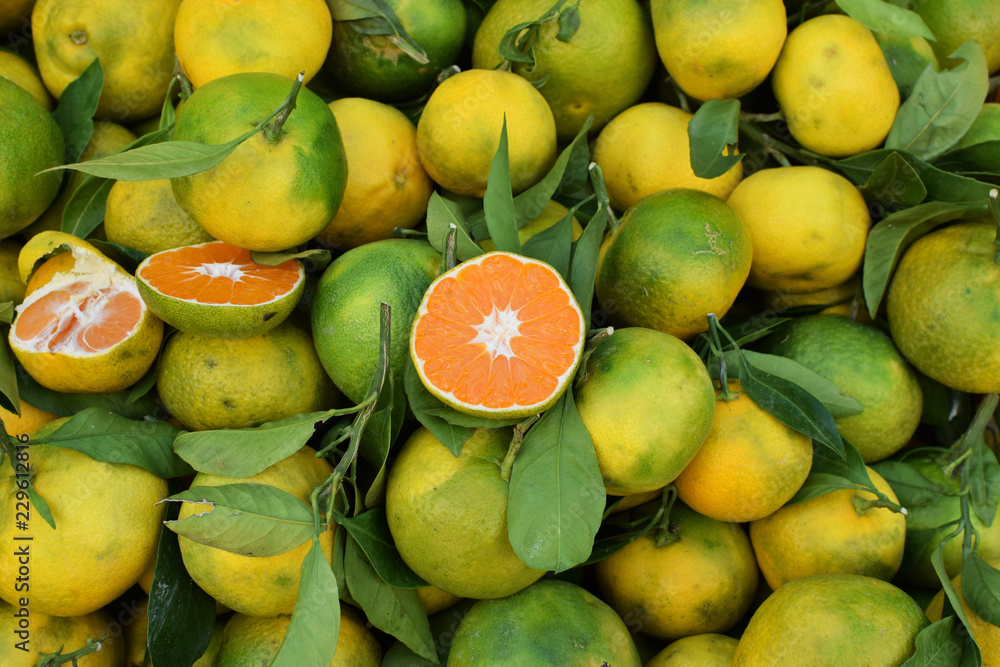 oranges and mandarins fresh fruit