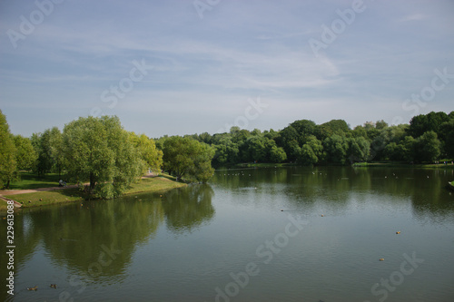 lake in the forest