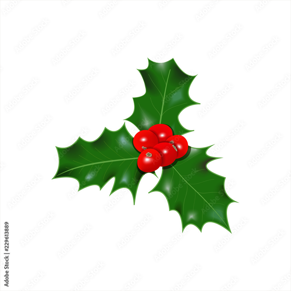 Holly berry icon. Christmas symbol vector illustration Holly berry icon. Christmas symbol vector illustration