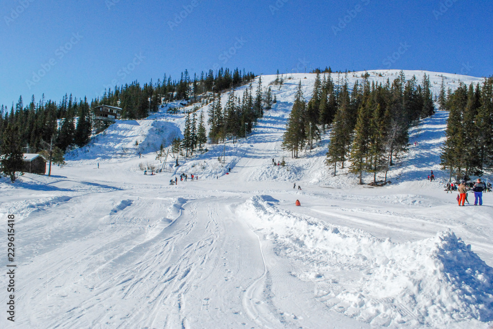 Fototapeta premium Ski slope near Trondheim