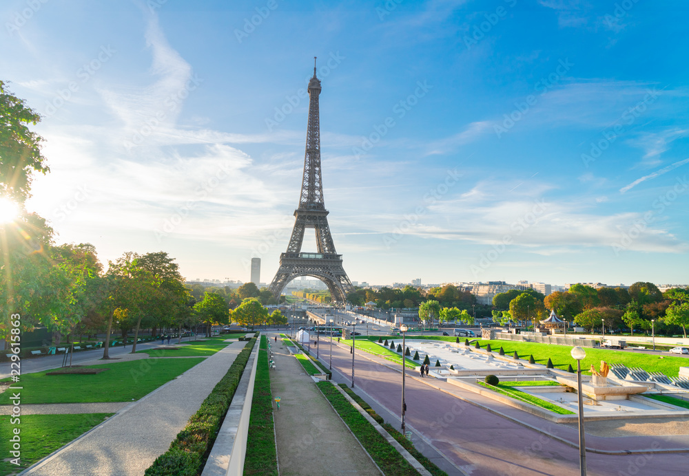 Eiffel Tower famous landmark from Trocadero at sunrise, Paris, France