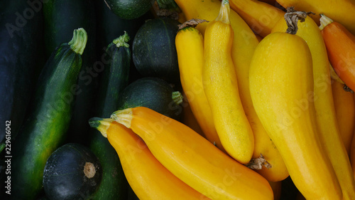 Fresh green and yellow zucchini make a vibrant and colorful background. Healthy zucchinis found at local farmers market.