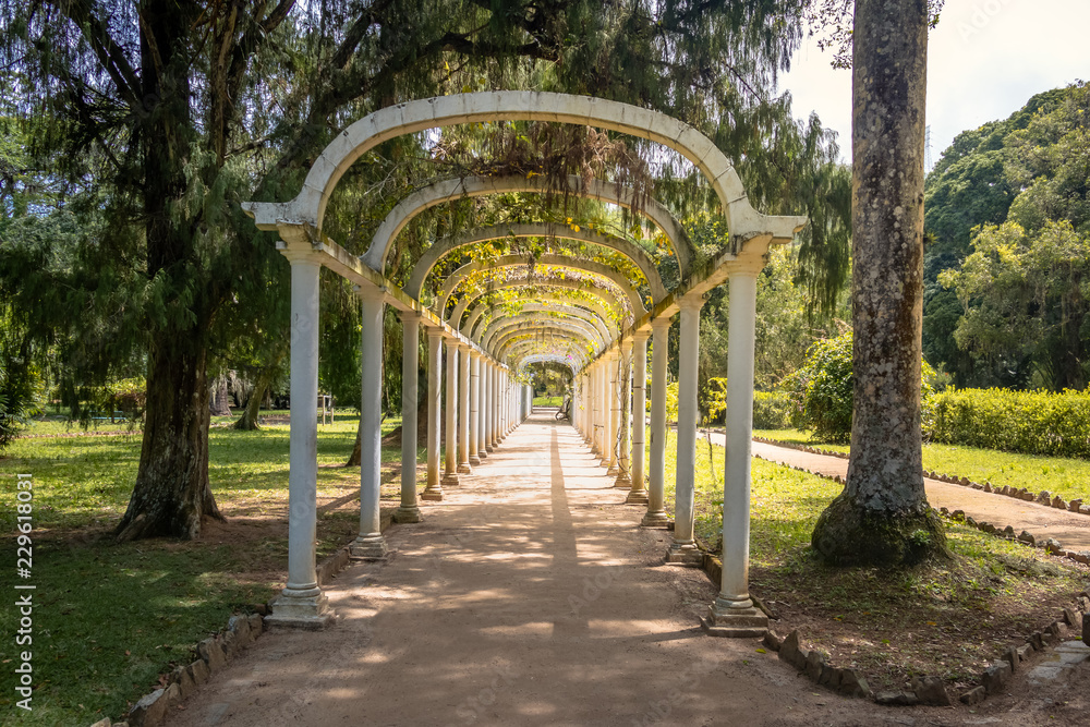 Jardim Botanico Botanical Garden - Rio de Janeiro, Brazil