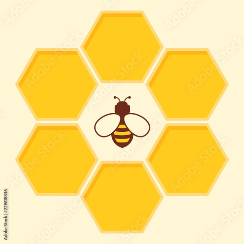 vector bee and honeycomb icon