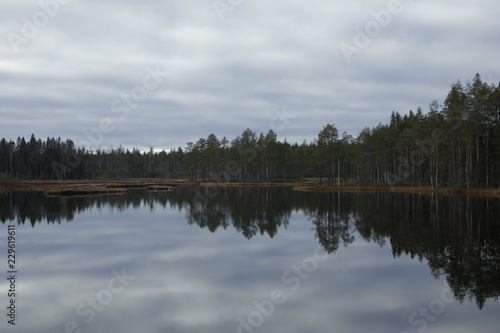 Autumn in Finland