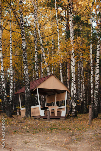 Autumn hut