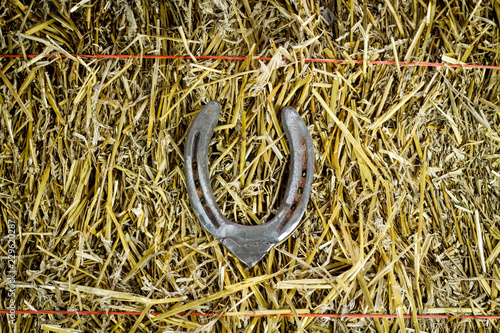 Letter V Steel Horseshoe on Straw
