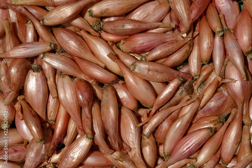 Layer of shallot bulbs is as natural background.