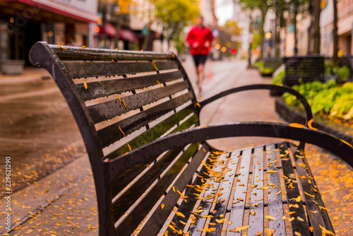 Rain covered bench on State Street in Madison, Wisconsin. photo