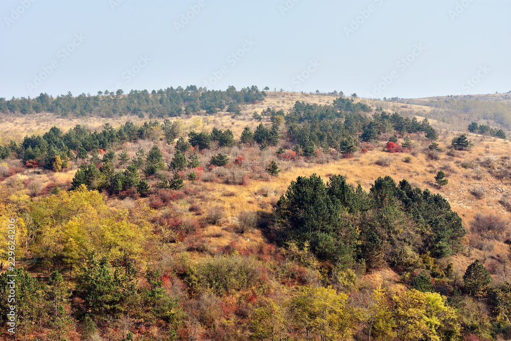 Autumn countryside landscape and nature reserve of Mouth of Dobrogea , Dobrogea land , Romania