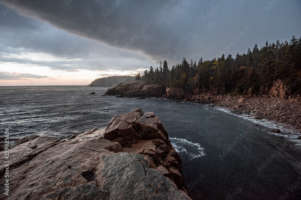 Obraz premium Acadia National Park