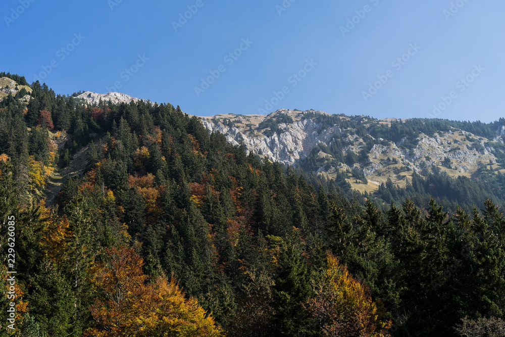 Beautiful mountain view in the morning time